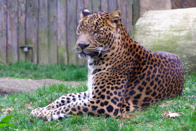 PA280011.JPG